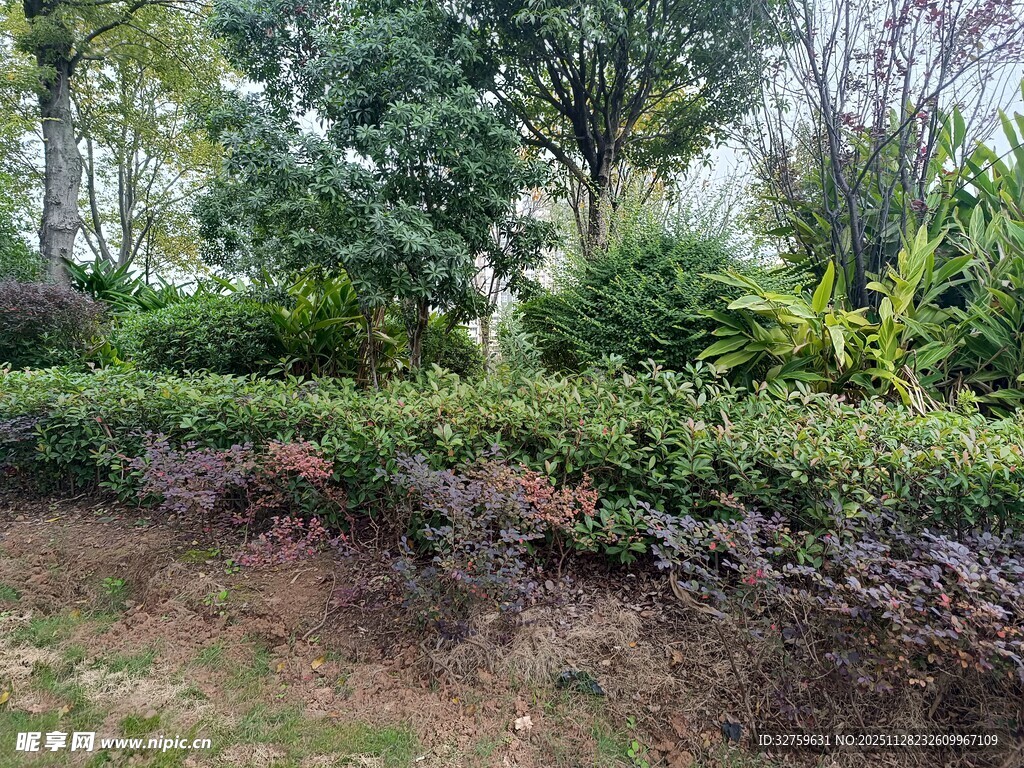 绿意盎然的户外园林景观