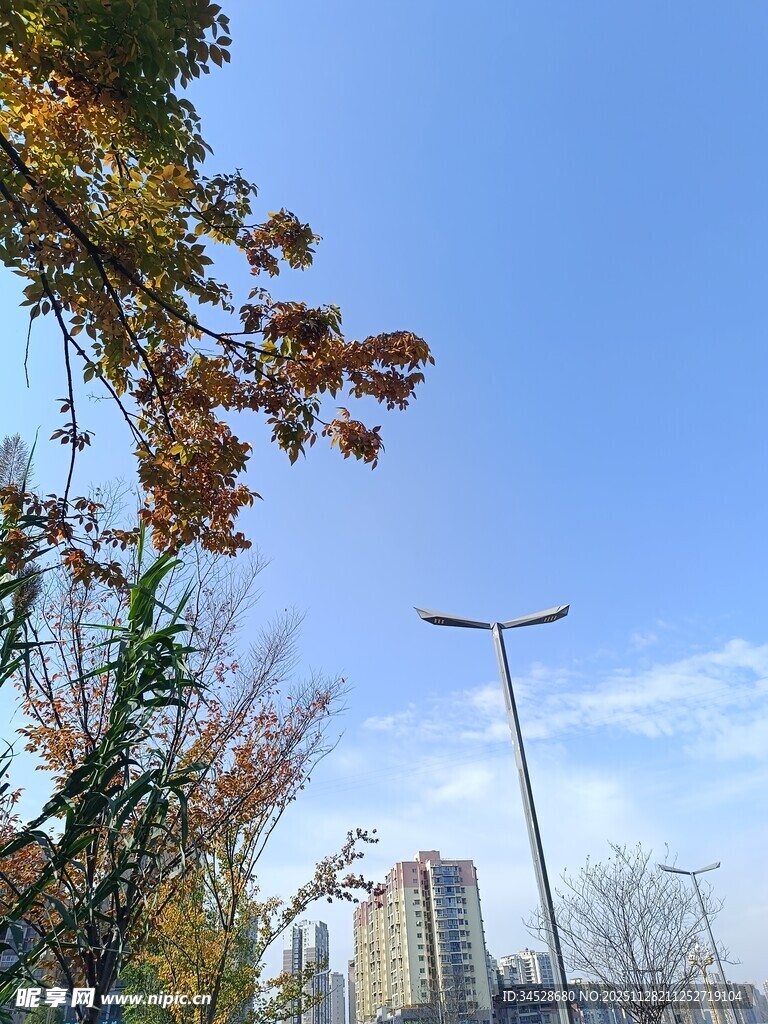 秋日街景中的蓝天与建筑