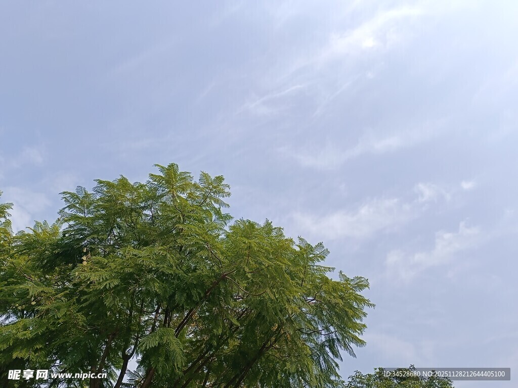 蓝天绿树风景图