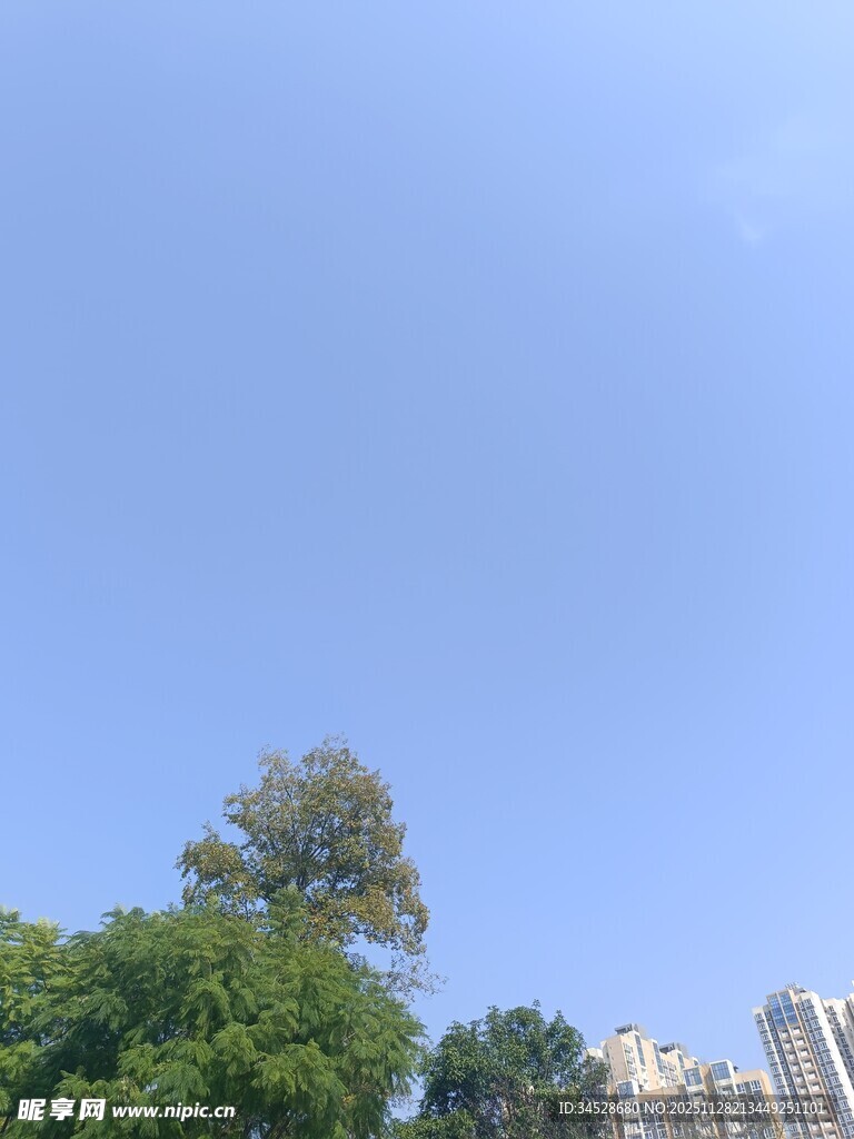 蓝天绿树旁的城市景象