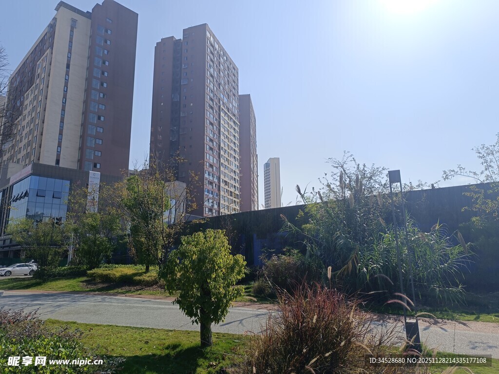 城市高楼旁的绿地景观