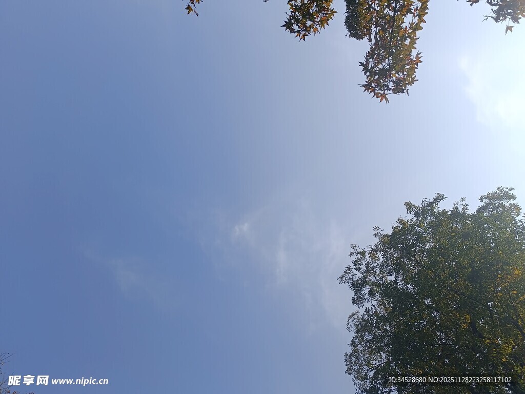 蓝天绿树间的清新景致