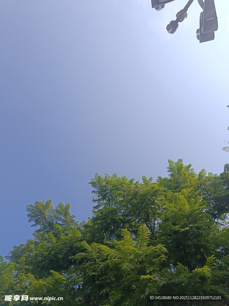 蓝天绿树间的空中景象