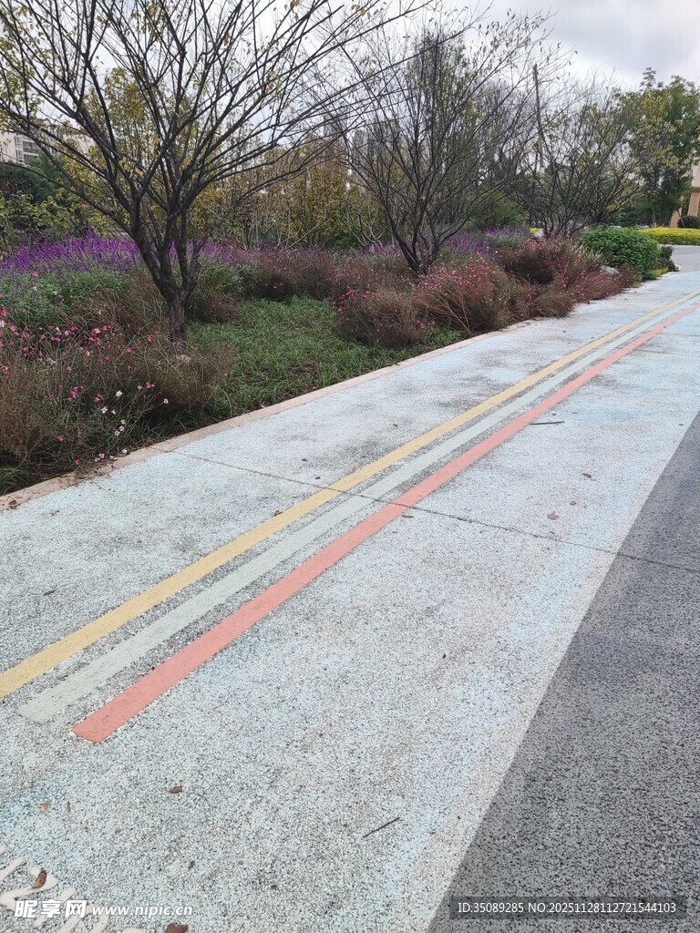 彩色标线的户外步道