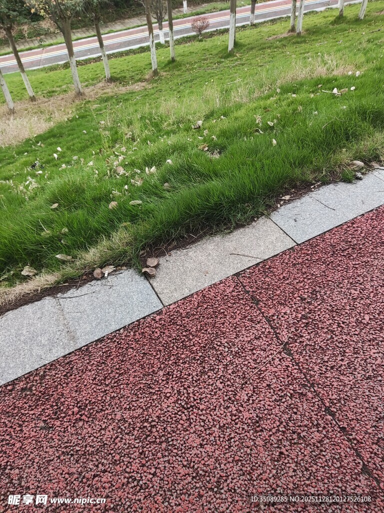 红色透水路面与周边绿化