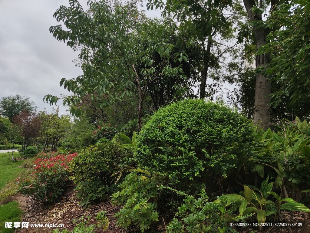 绿意盎然的园林景观