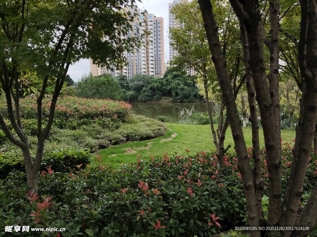 城市中的绿意盎然景观