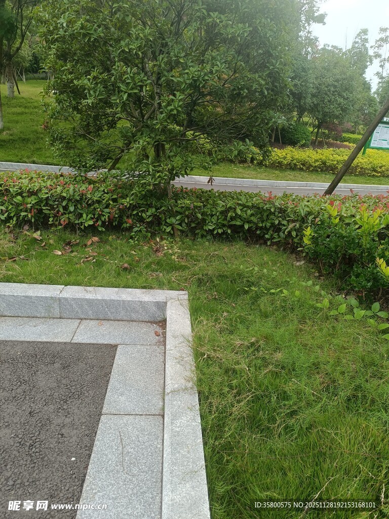 户外绿植环绕的休闲场景