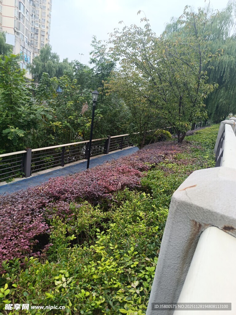城市绿植景观一角