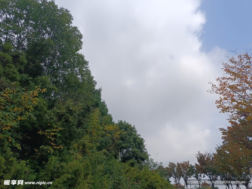 山林蓝天间的清新景致