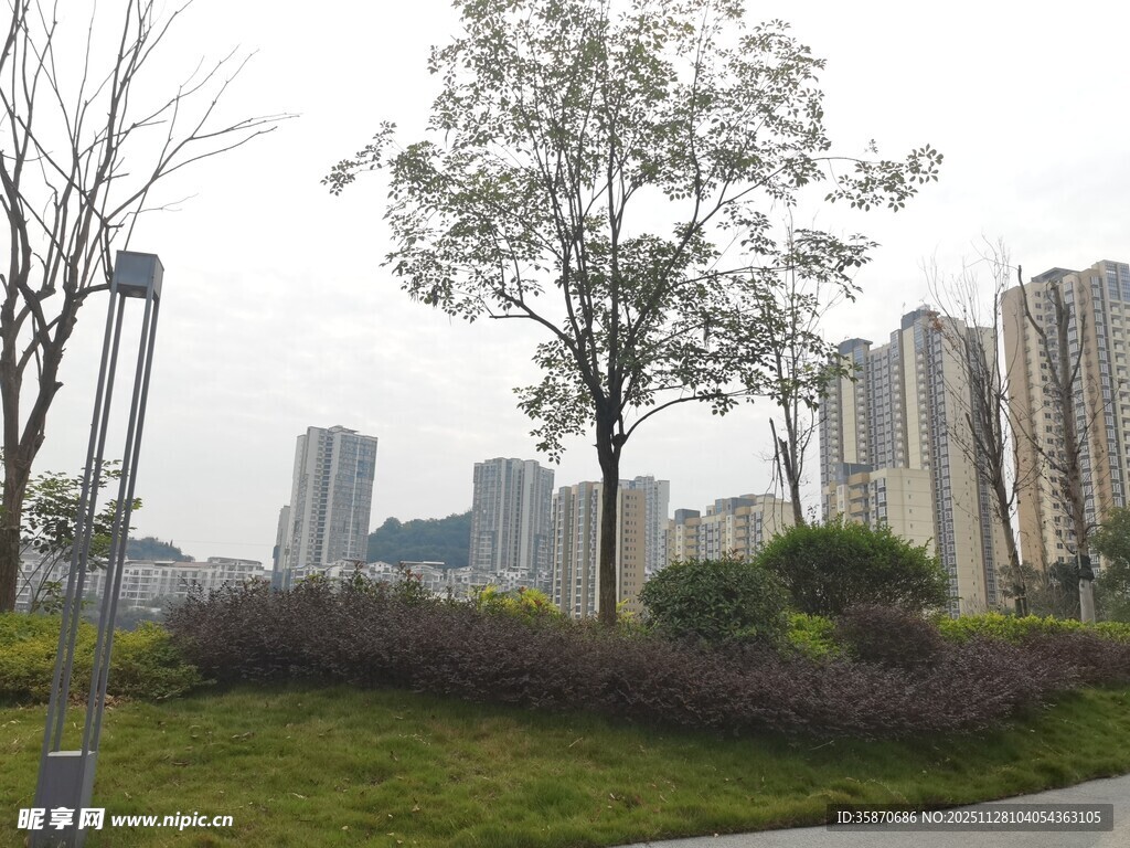 城市中的绿地与高楼景观