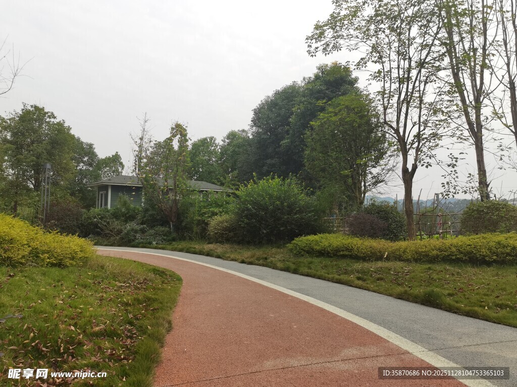 林间蜿蜒的彩色步道