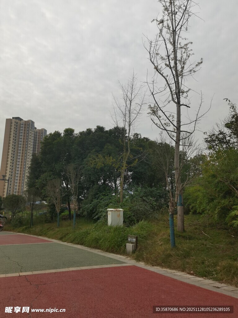 城市公园的多彩步道景观