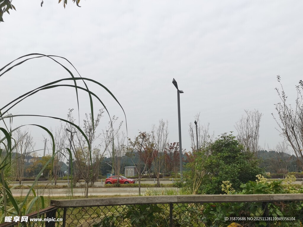 户外绿植景观