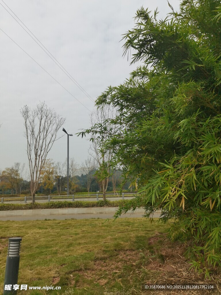 户外绿意盎然的自然景致