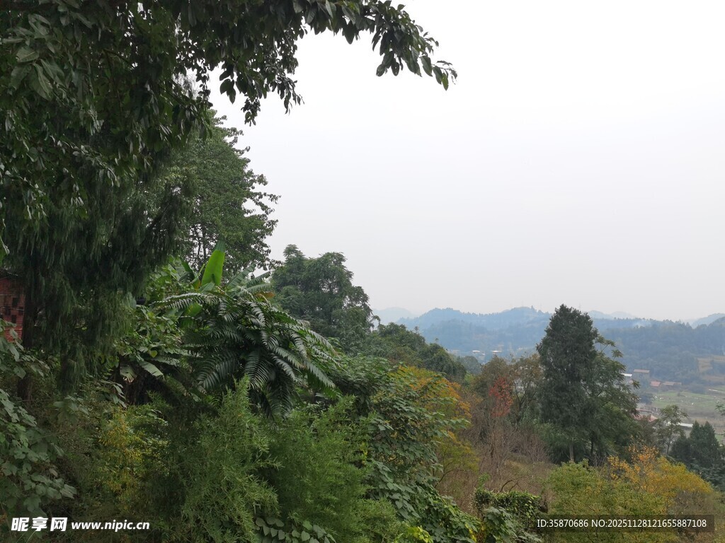 山林景致绿意盎然的自然