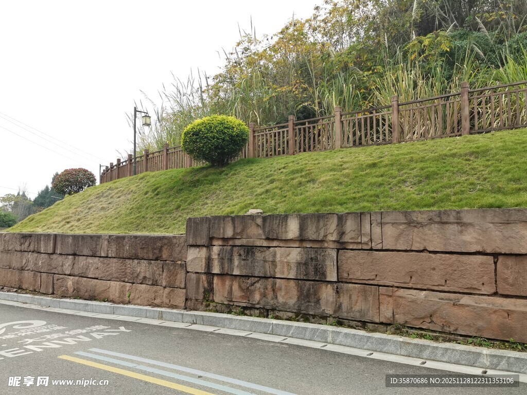 路边护坡绿植景观