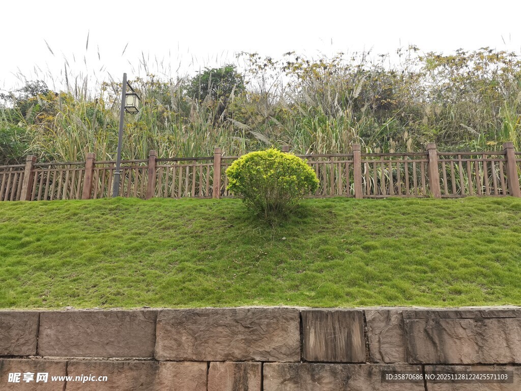 绿草小树旁的石砌围栏