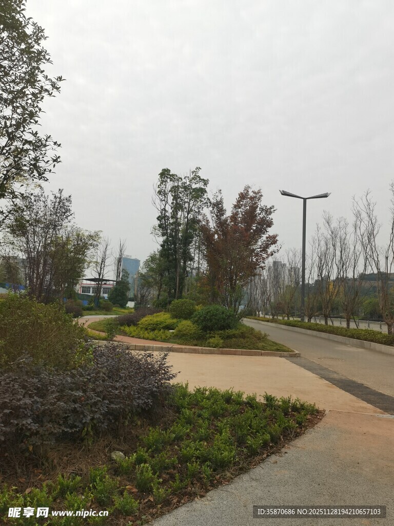 城市公园中的宁静小径