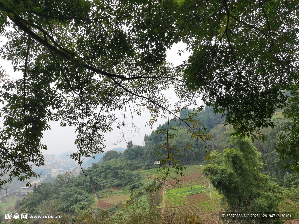 山间绿意盎然的自然景致