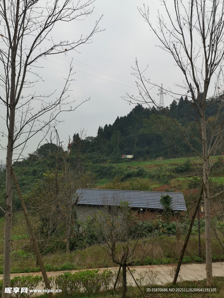 乡村田野中的静谧小屋