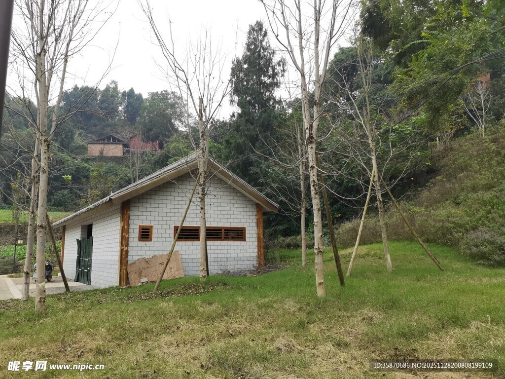 林间小屋静谧田园风光