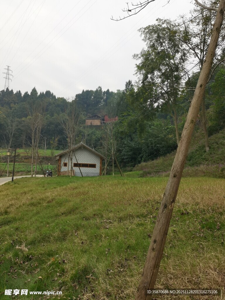 乡村田野间的宁静景致