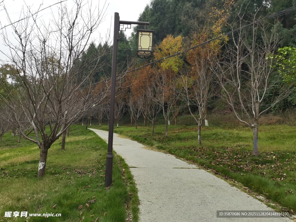 秋日公园蜿蜒幽静小路