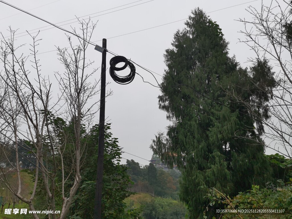 电线上的环形物体