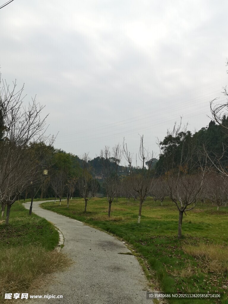 乡间蜿蜒小路静谧风光