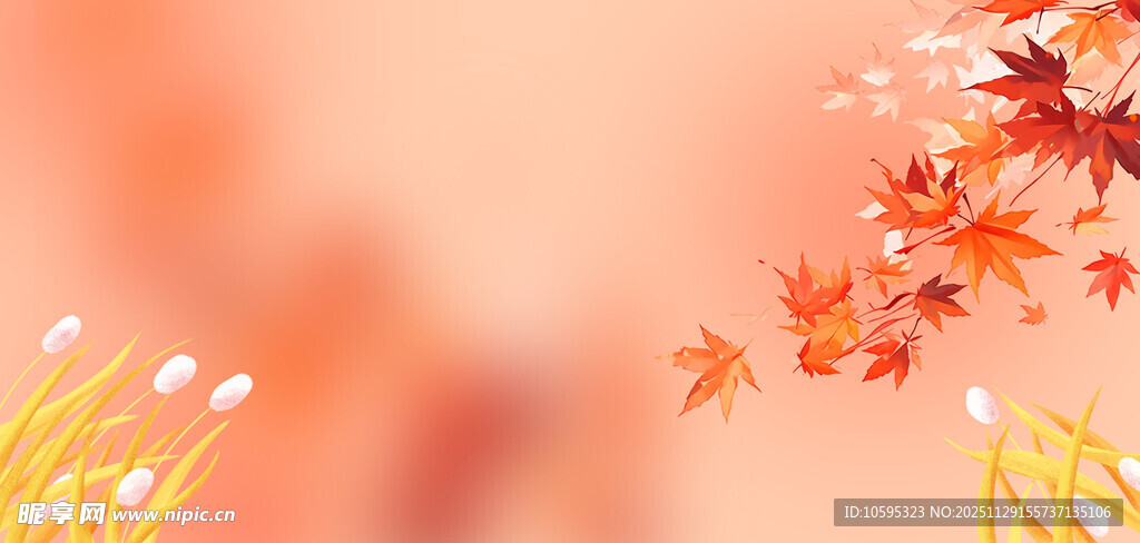 秋日枫叶与芦苇美景