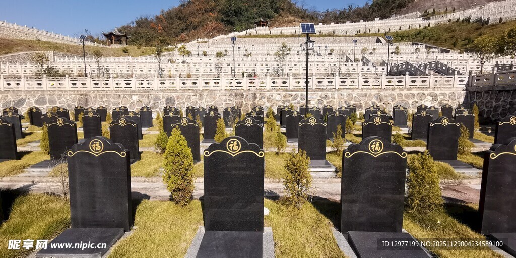 肃穆墓地场景
