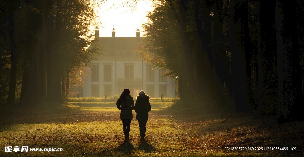 夕阳下林间漫步的两人