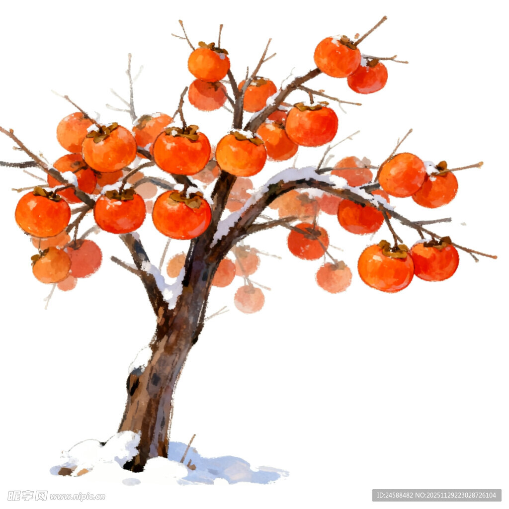 雪中红柿树冬日免抠元素