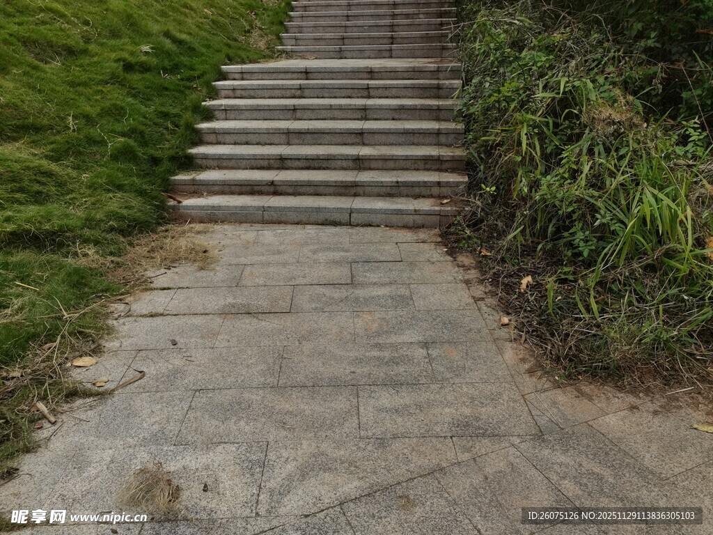 户外石阶小径