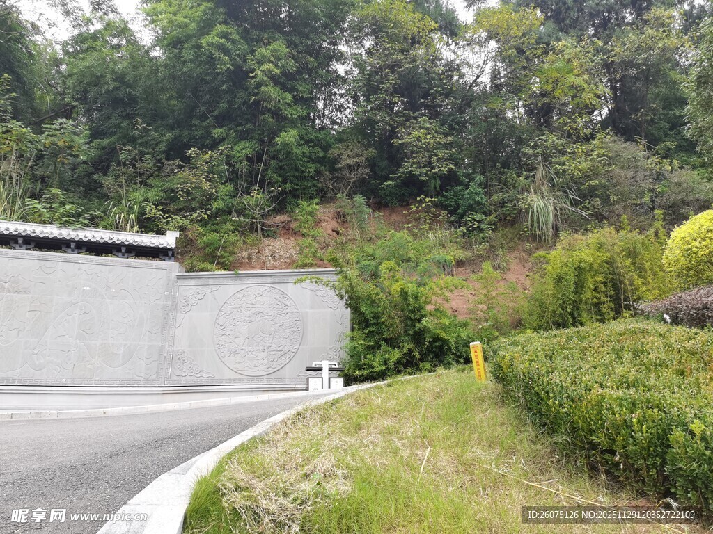 蜿蜒公路旁的绿植与墙