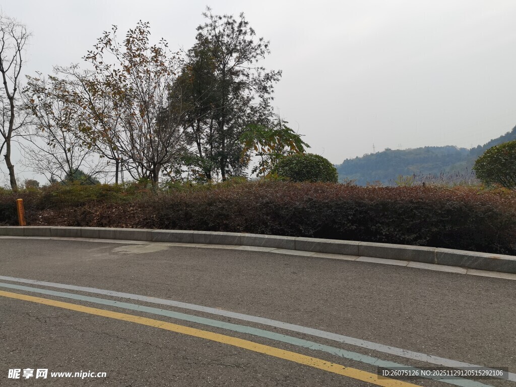 公路旁的树木与远山景色