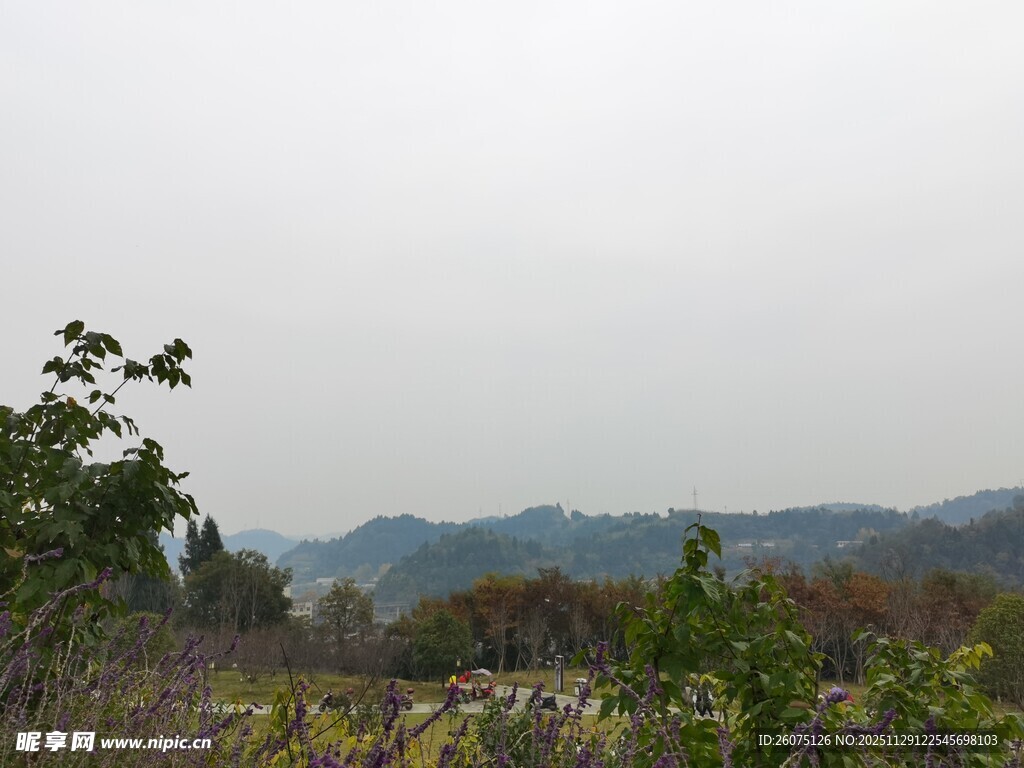 山间景致植被与远山相映