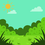 阳光照耀下的绿色原野