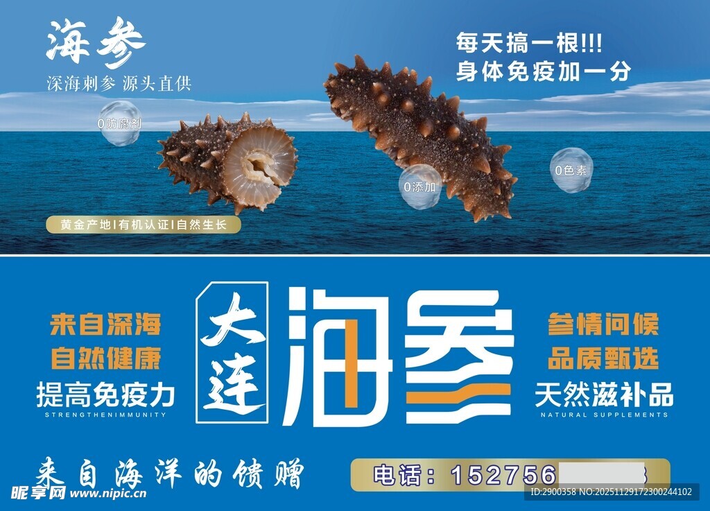 大连海参宣传海报