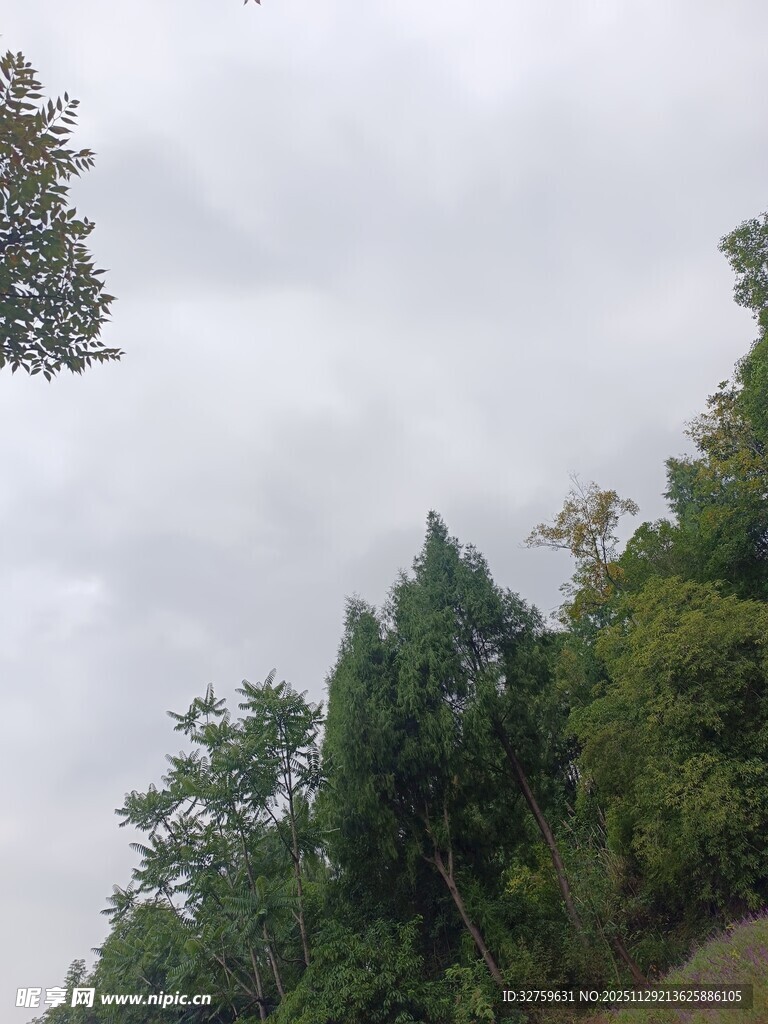 山林间的阴天景象