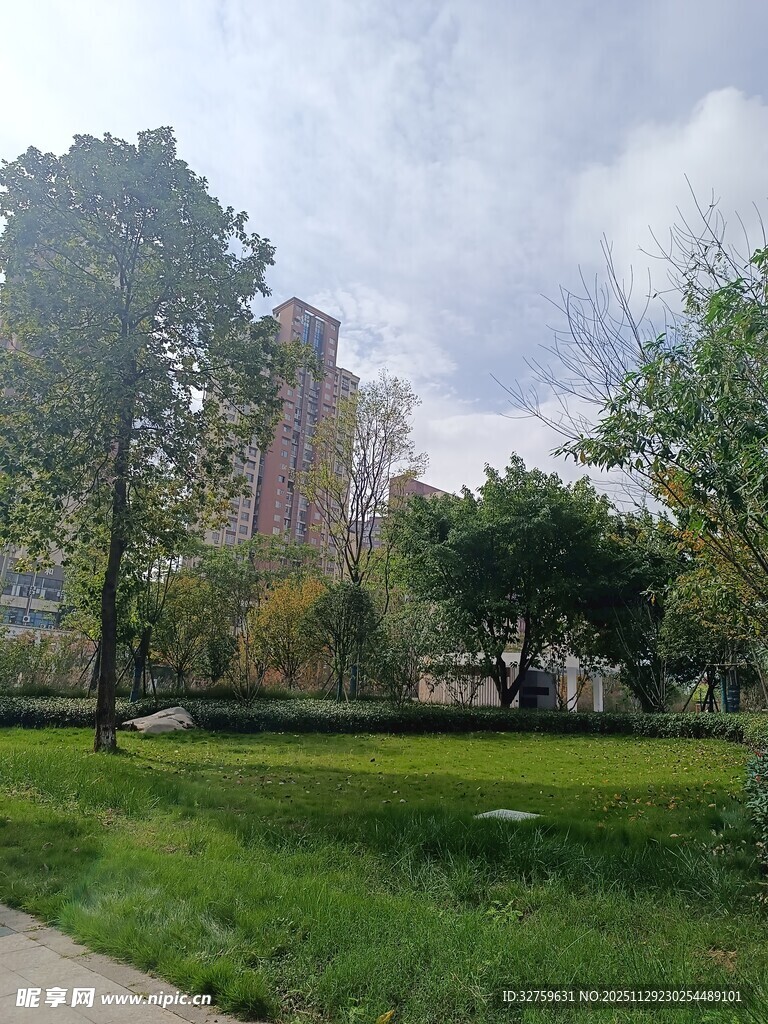 城市中的绿意公园景观