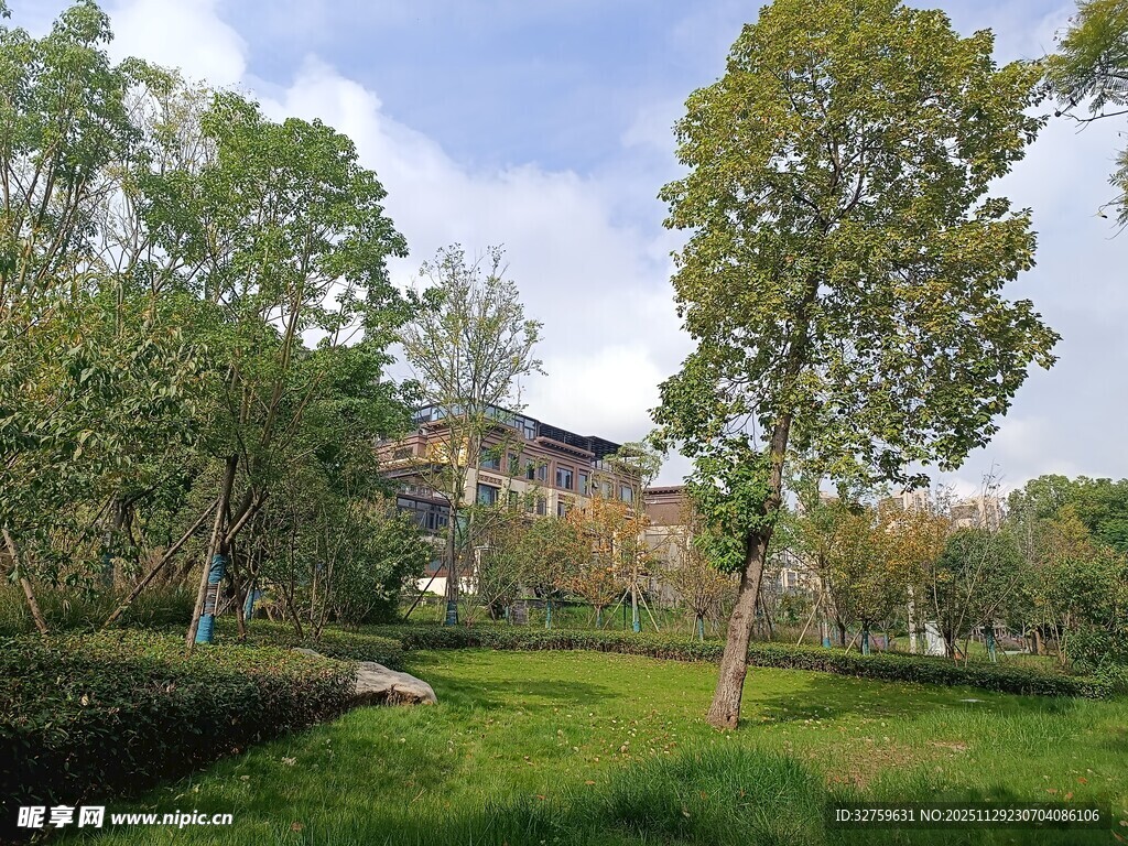 绿意盎然的园林景观