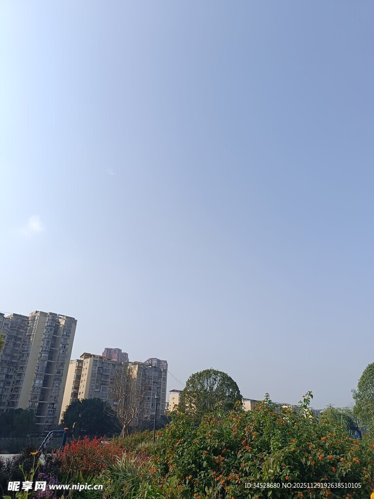 城市高楼与绿植景观