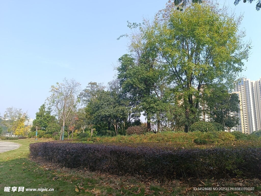 城市中的静谧绿植景观