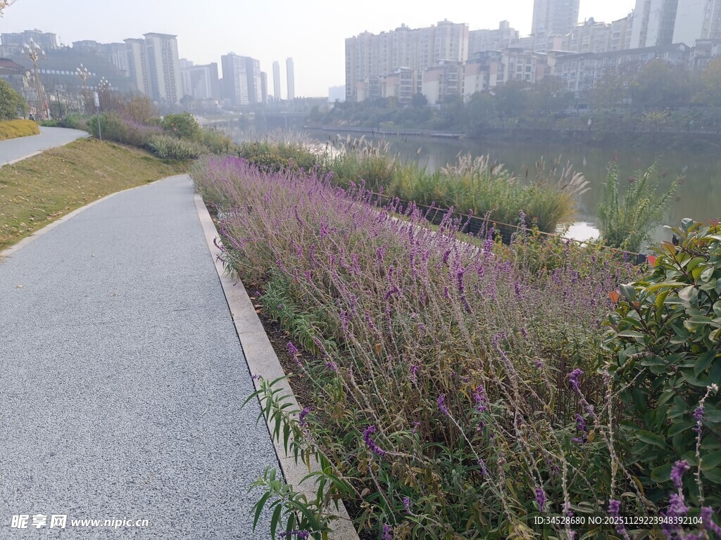 城市河畔的花草小径
