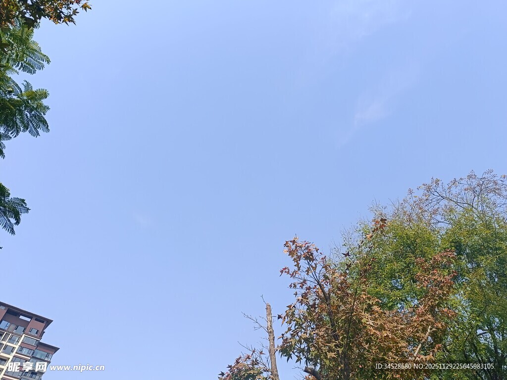 蓝天绿树间的城市景致