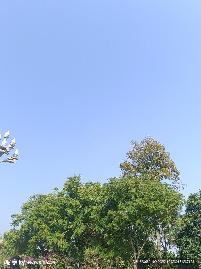 蓝天绿树风景图