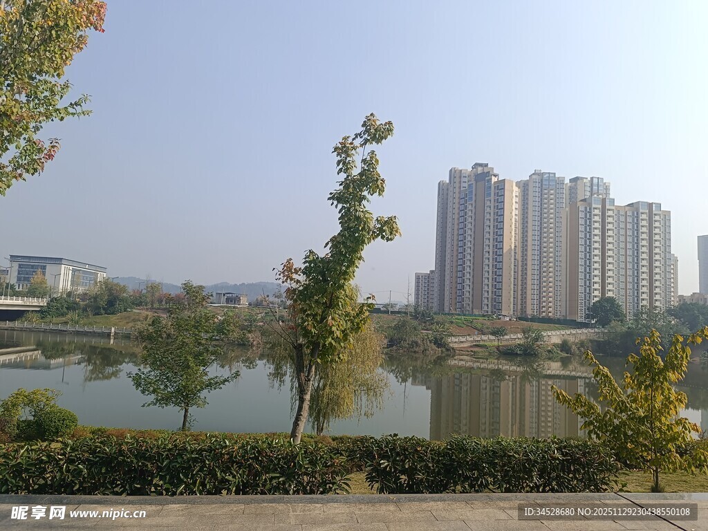 湖畔高楼与绿树景致