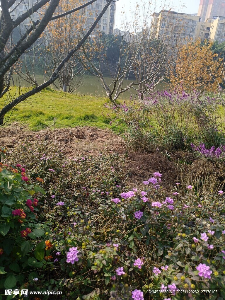 春日繁花盛开的公园一角